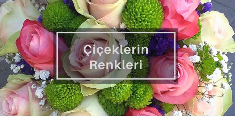 Çiçeklerin Renkleri Nasıl Oluşur?